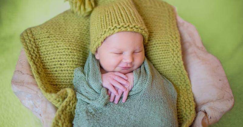 Freepik/freepic.diller